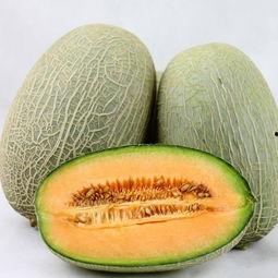 大妹吃哈密瓜视频,哈密瓜美食之旅