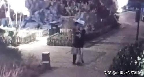 晋中吃瓜事件视频,一场网络热议背后的真相揭秘