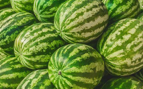 歌曲吃大瓜,揭秘娱乐圈的甜蜜与苦涩