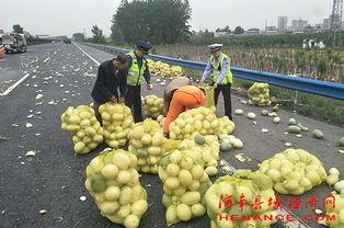 红果果吃瓜群众,揭秘网络热议背后的真相