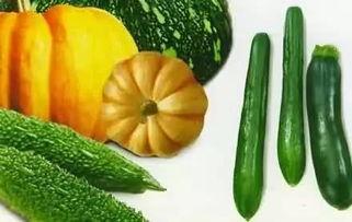 宝宝可以吃秋瓜