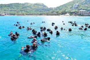 户外潜水吃瓜,畅游海底世界，尽享清凉夏日吃瓜时光