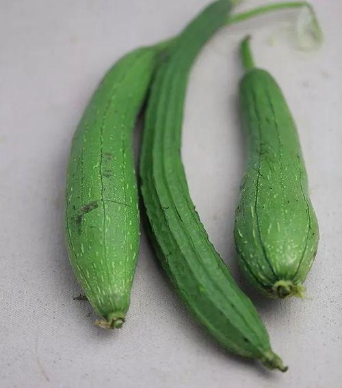 戊土吃瓜,探寻传统食俗中的文化韵味